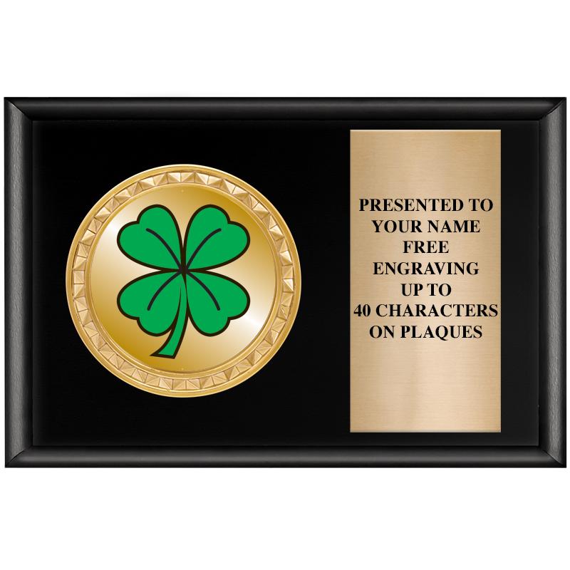 6" X 4" SHINY BLK INSERT PLQ