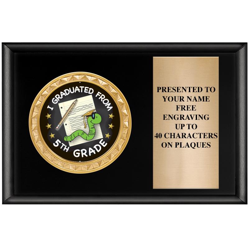 6" X 4" SHINY BLK INSERT PLQ