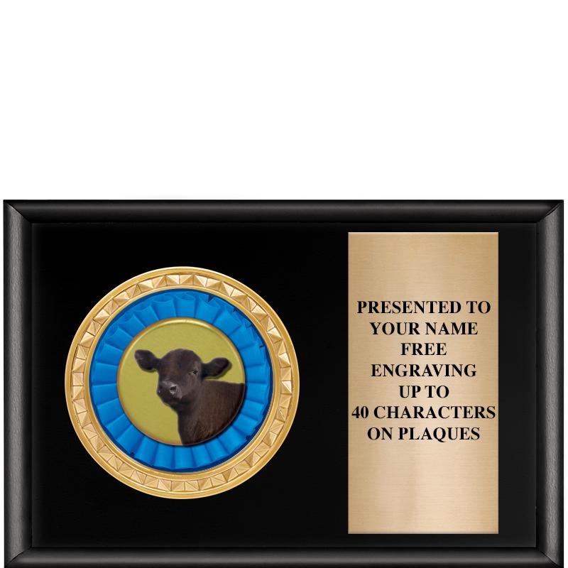 6" X 4" SHINY BLK INSERT PLQ