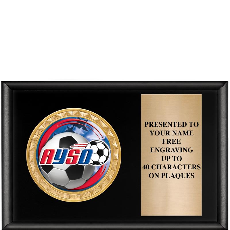 6" X 4" SHINY BLK INSERT PLQ