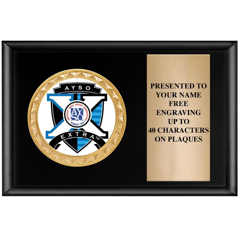 6" X 4" SHINY BLK INSERT PLQ