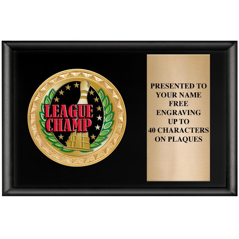 6" X 4" SHINY BLK INSERT PLQ