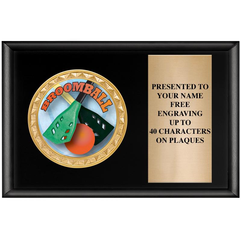 6" X 4" SHINY BLK INSERT PLQ