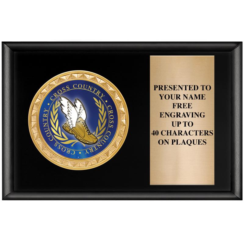 6" X 4" SHINY BLK INSERT PLQ