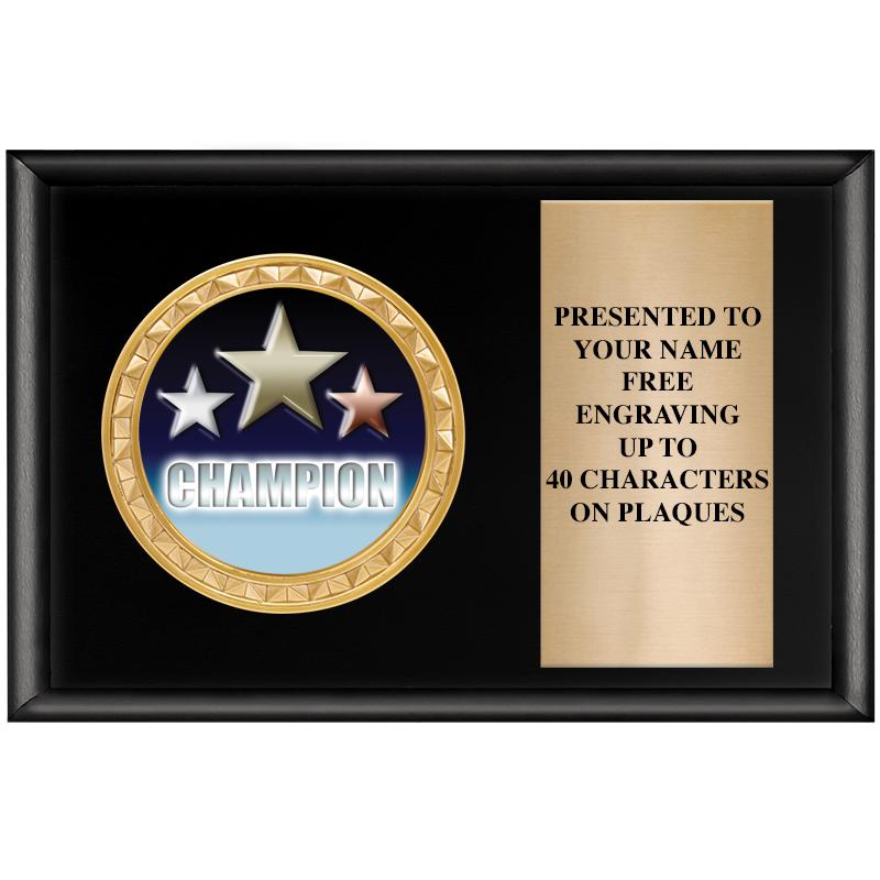 6" X 4" SHINY BLK INSERT PLQ