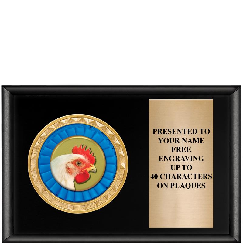 6" X 4" SHINY BLK INSERT PLQ