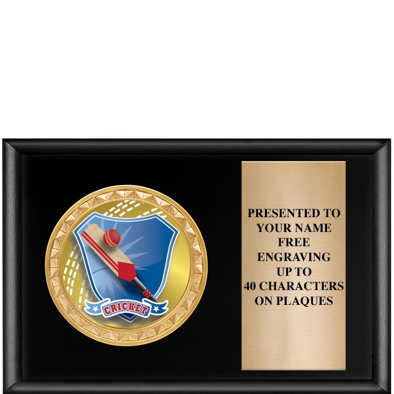 6" X 4" SHINY BLK INSERT PLQ