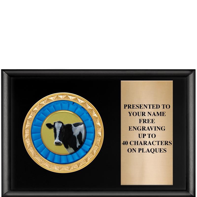 6" X 4" SHINY BLK INSERT PLQ