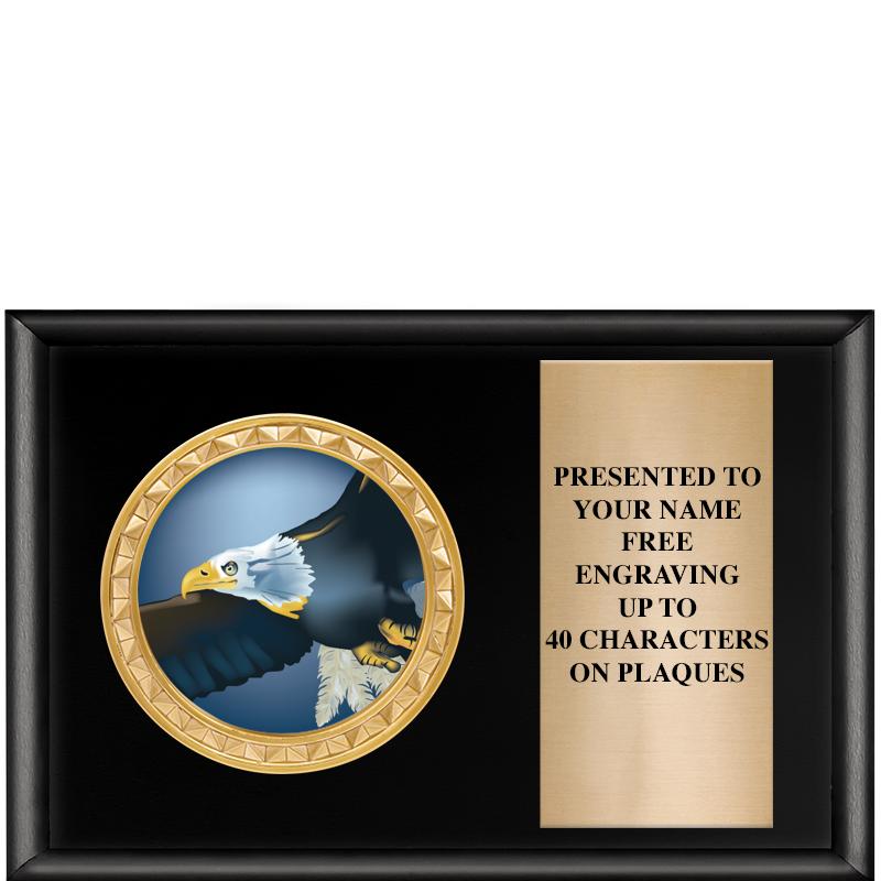 6" X 4" SHINY BLK INSERT PLQ