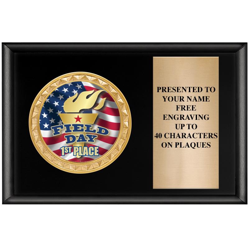 6" X 4" SHINY BLK INSERT PLQ