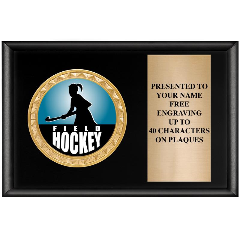 6" X 4" SHINY BLK INSERT PLQ