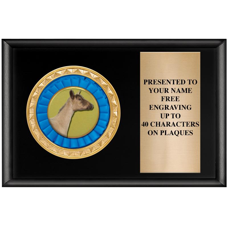 6" X 4" SHINY BLK INSERT PLQ