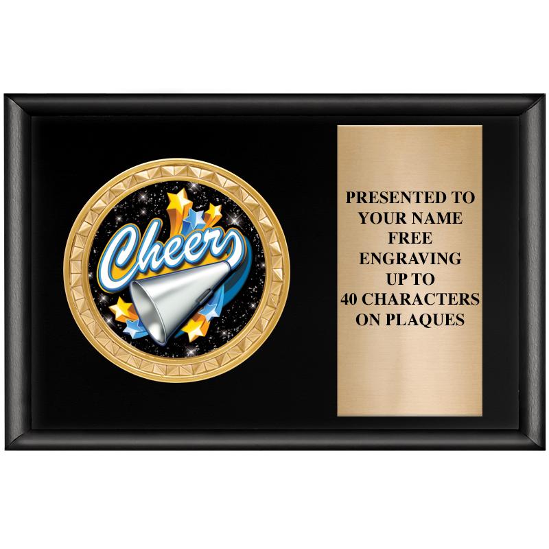 6" X 4" SHINY BLK INSERT PLQ