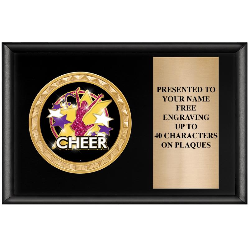 6" X 4" SHINY BLK INSERT PLQ