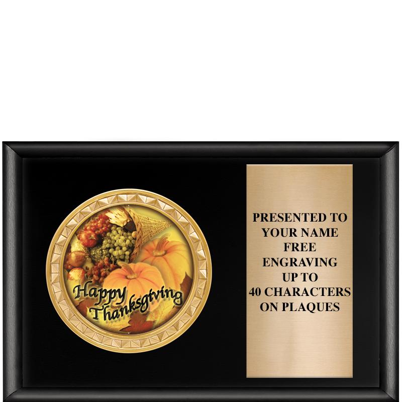 6" X 4" SHINY BLK INSERT PLQ