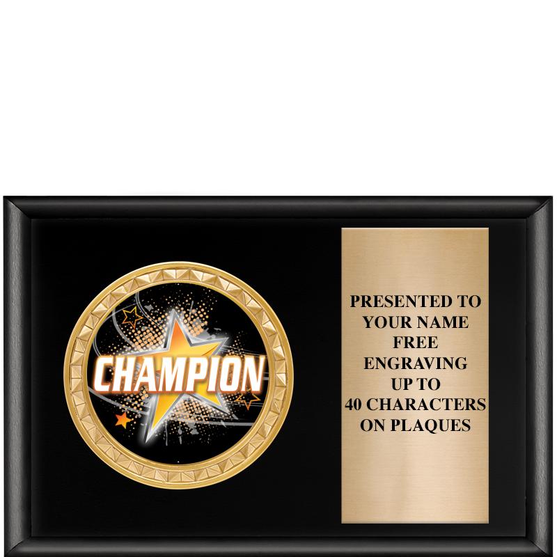 6" X 4" SHINY BLK INSERT PLQ