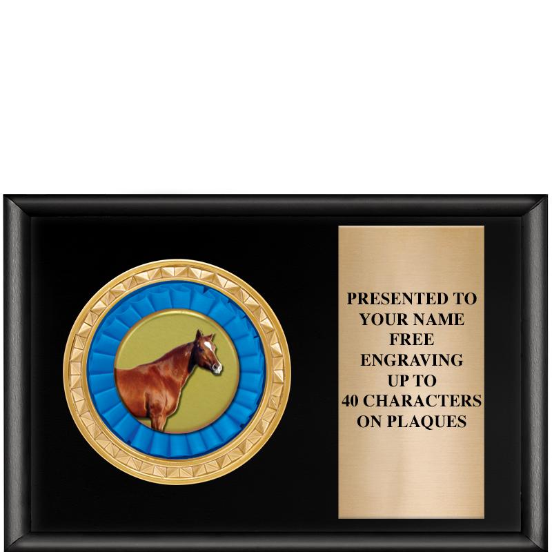 6" X 4" SHINY BLK INSERT PLQ