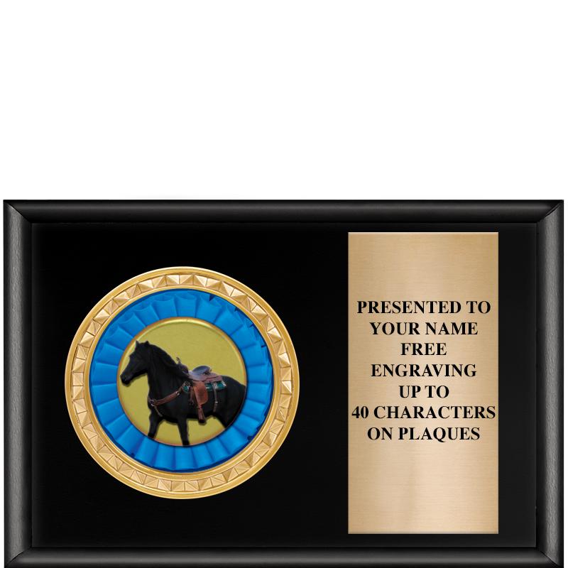 6" X 4" SHINY BLK INSERT PLQ