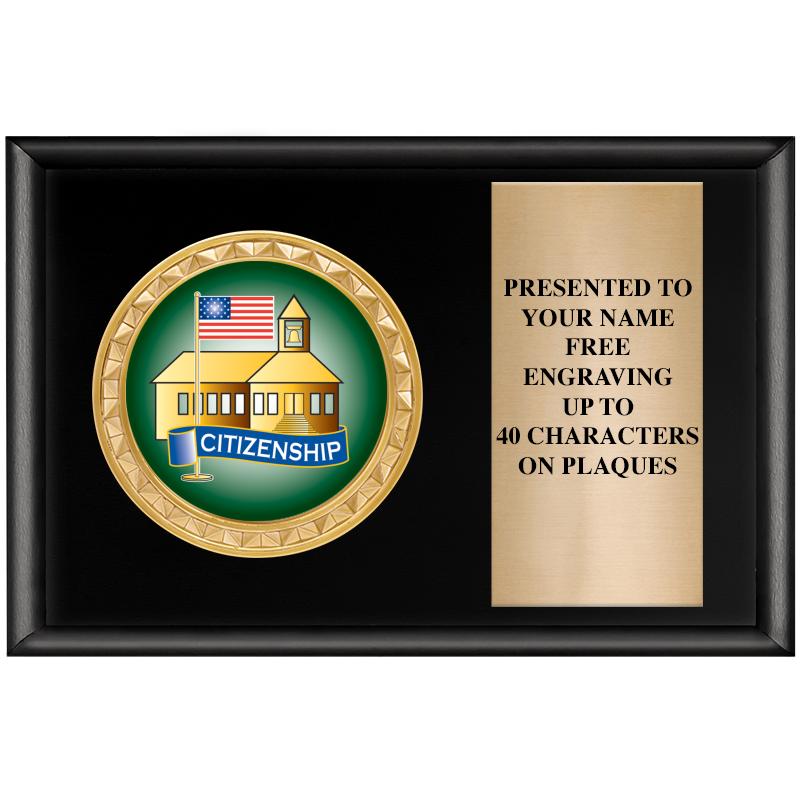 6" X 4" SHINY BLK INSERT PLQ