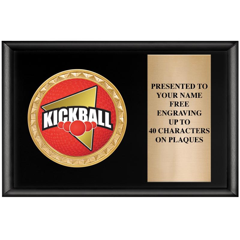 6" X 4" SHINY BLK INSERT PLQ