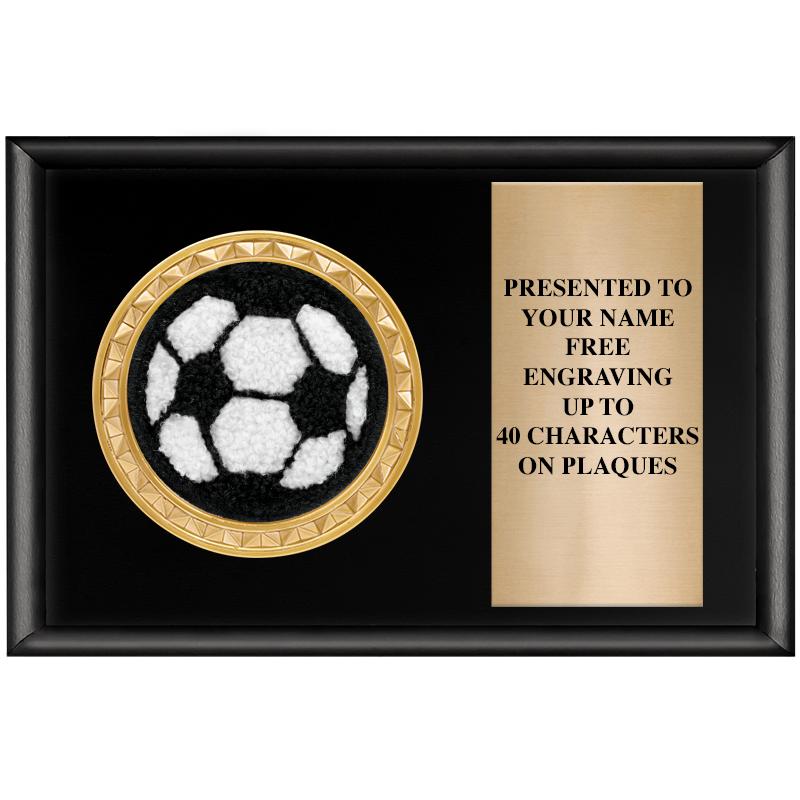 6" X 4" SHINY BLK INSERT PLQ