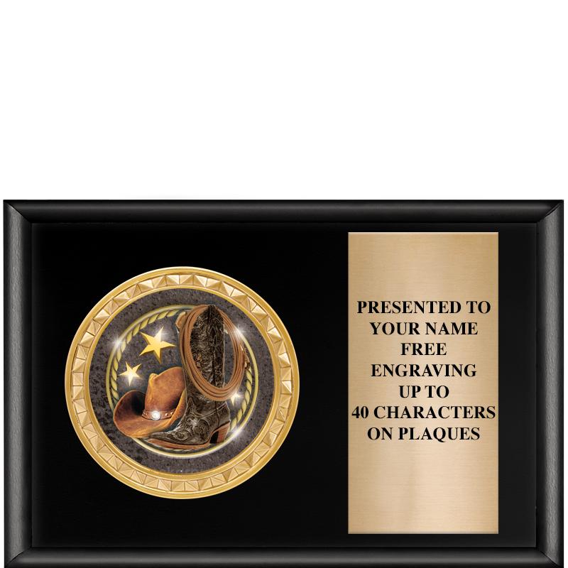 6" X 4" SHINY BLK INSERT PLQ