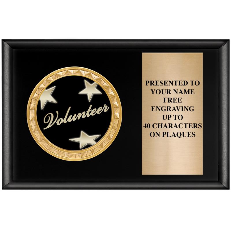 6" X 4" SHINY BLK INSERT PLQ