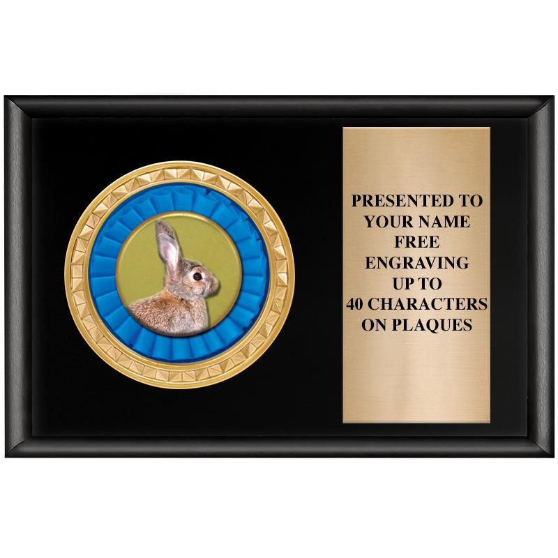 6" X 4" SHINY BLK INSERT PLQ