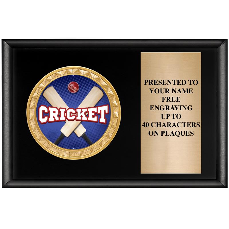 6" X 4" SHINY BLK INSERT PLQ