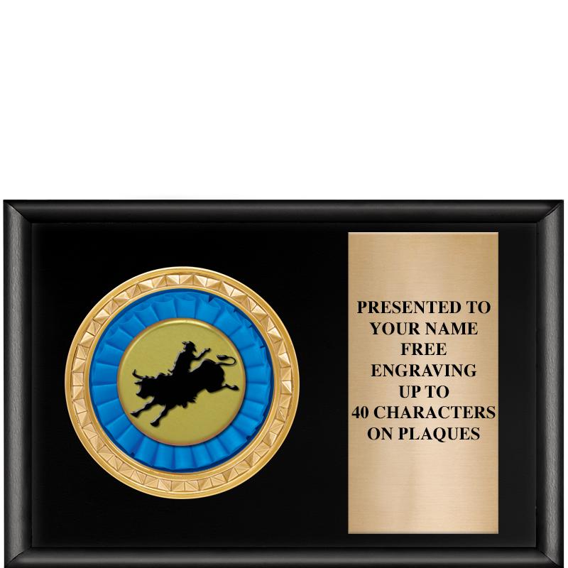 6" X 4" SHINY BLK INSERT PLQ