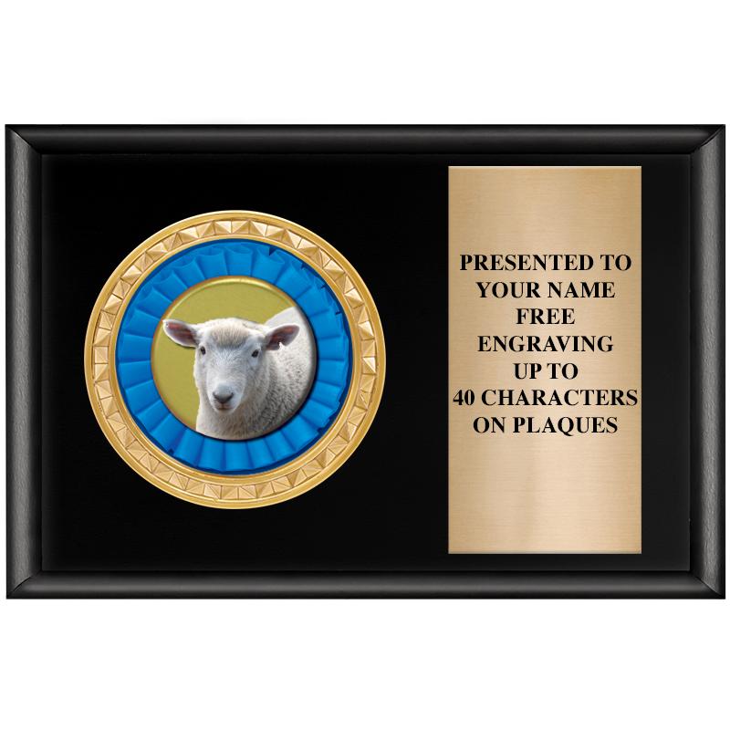 6" X 4" SHINY BLK INSERT PLQ