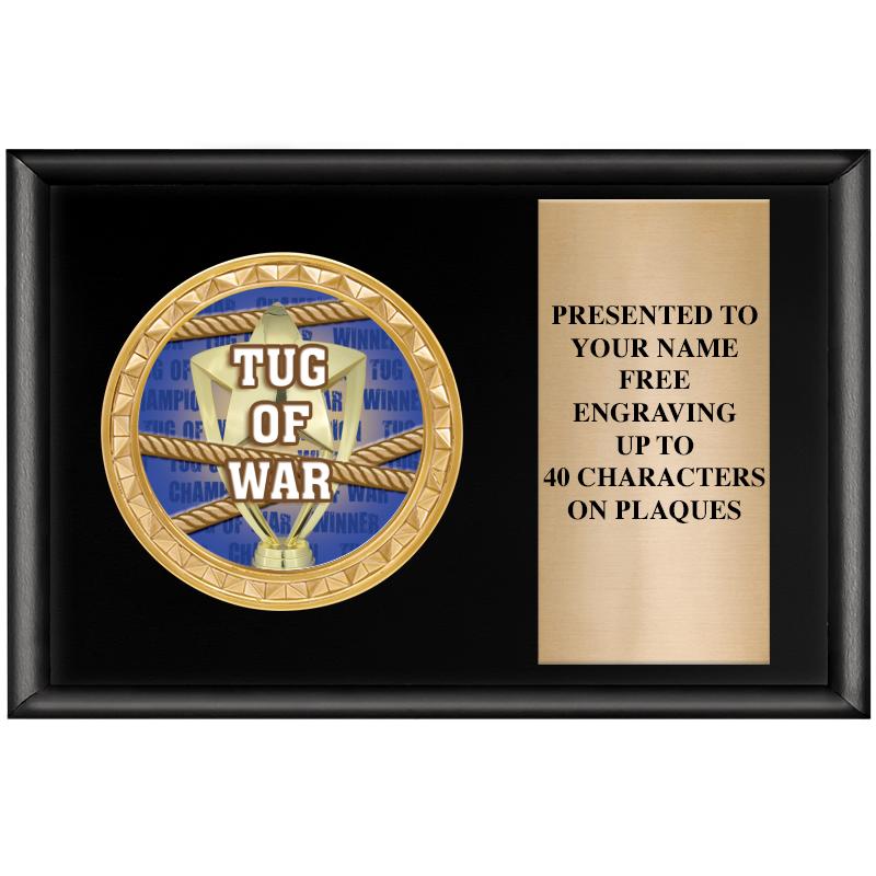 6" X 4" SHINY BLK INSERT PLQ