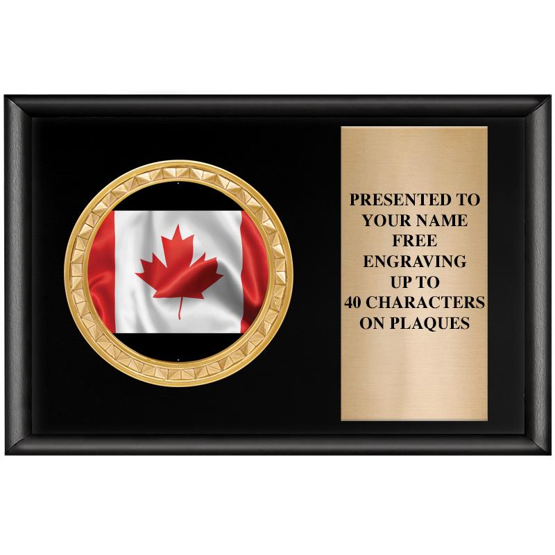 6" X 4" SHINY BLK INSERT PLQ