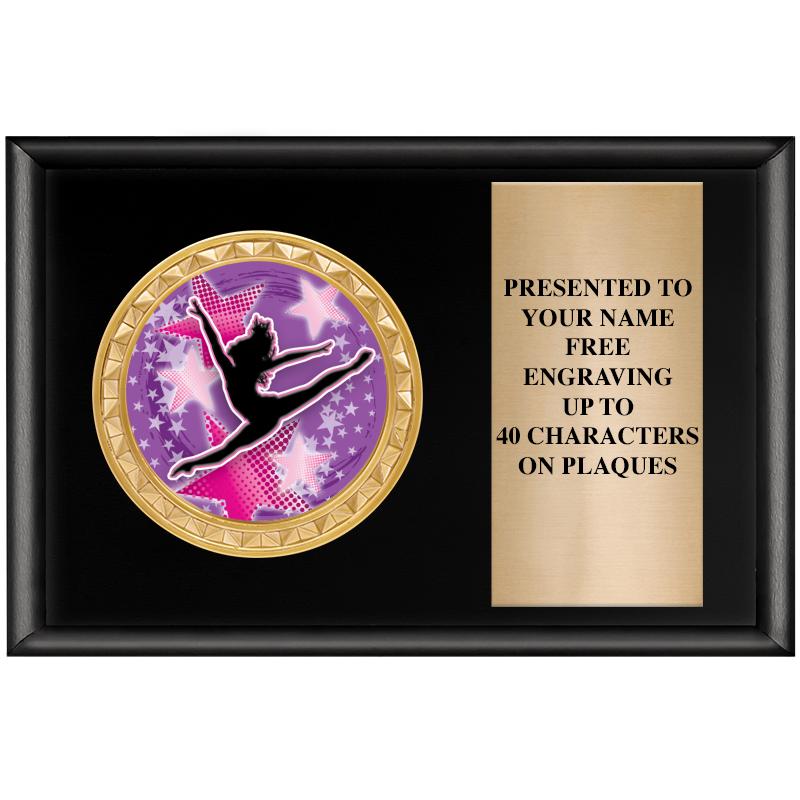 6" X 4" SHINY BLK INSERT PLQ