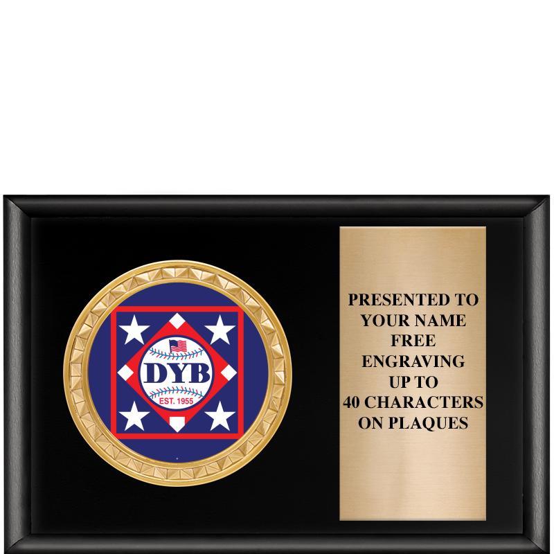 6" X 4" SHINY BLK INSERT PLQ