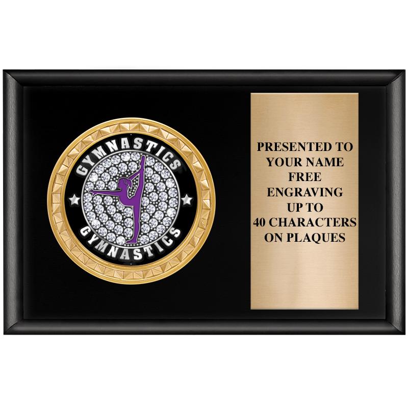 6" X 4" SHINY BLK INSERT PLQ