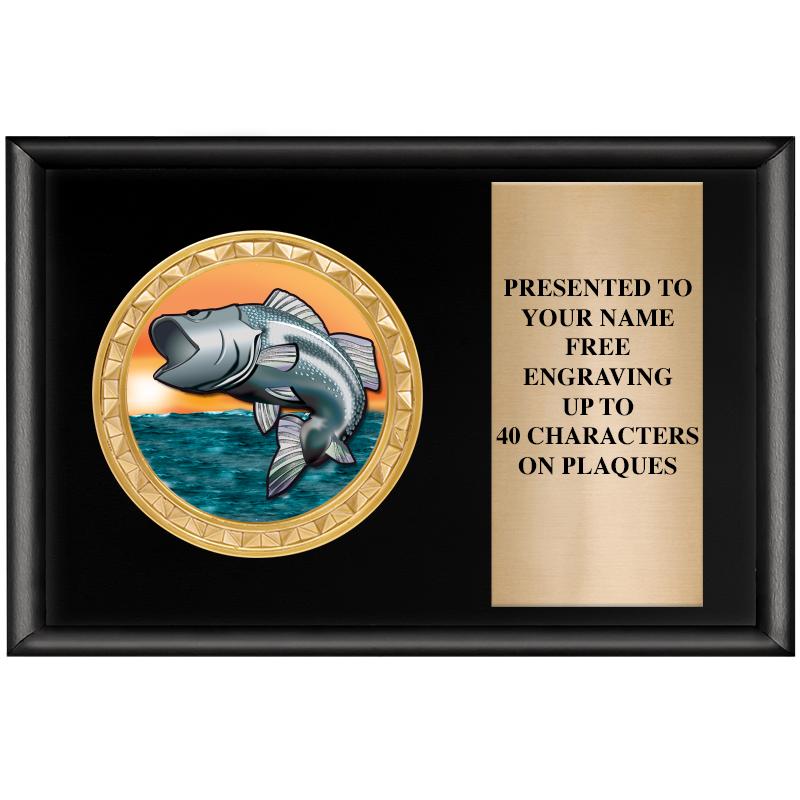 6" X 4" SHINY BLK INSERT PLQ