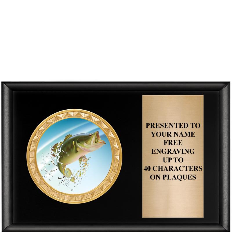 6" X 4" SHINY BLK INSERT PLQ