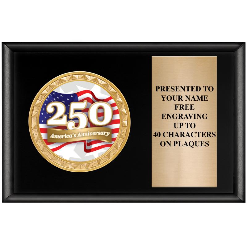 6" X 4" SHINY BLK INSERT PLQ