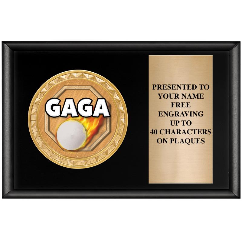 6" X 4" SHINY BLK INSERT PLQ