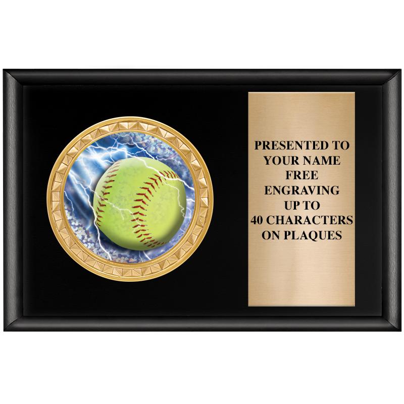 6" X 4" SHINY BLK INSERT PLQ