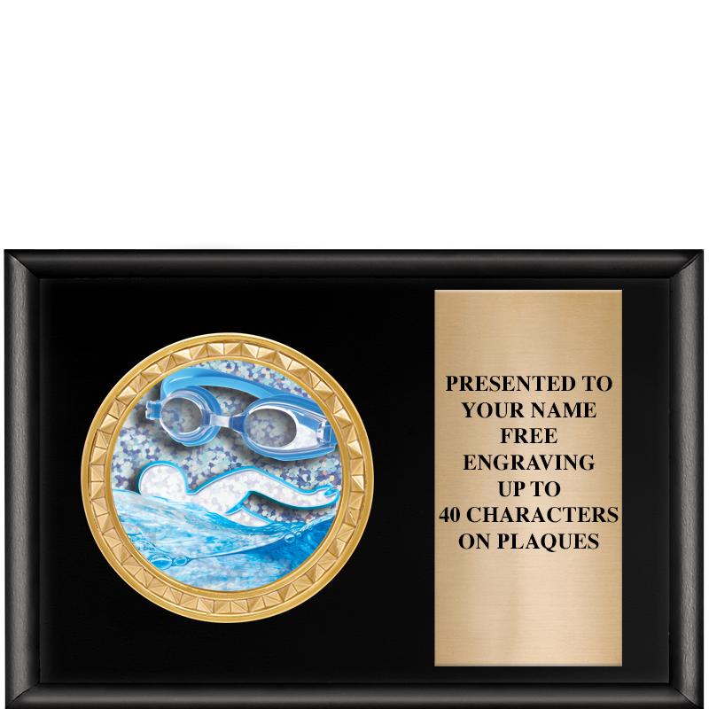 6" X 4" SHINY BLK INSERT PLQ