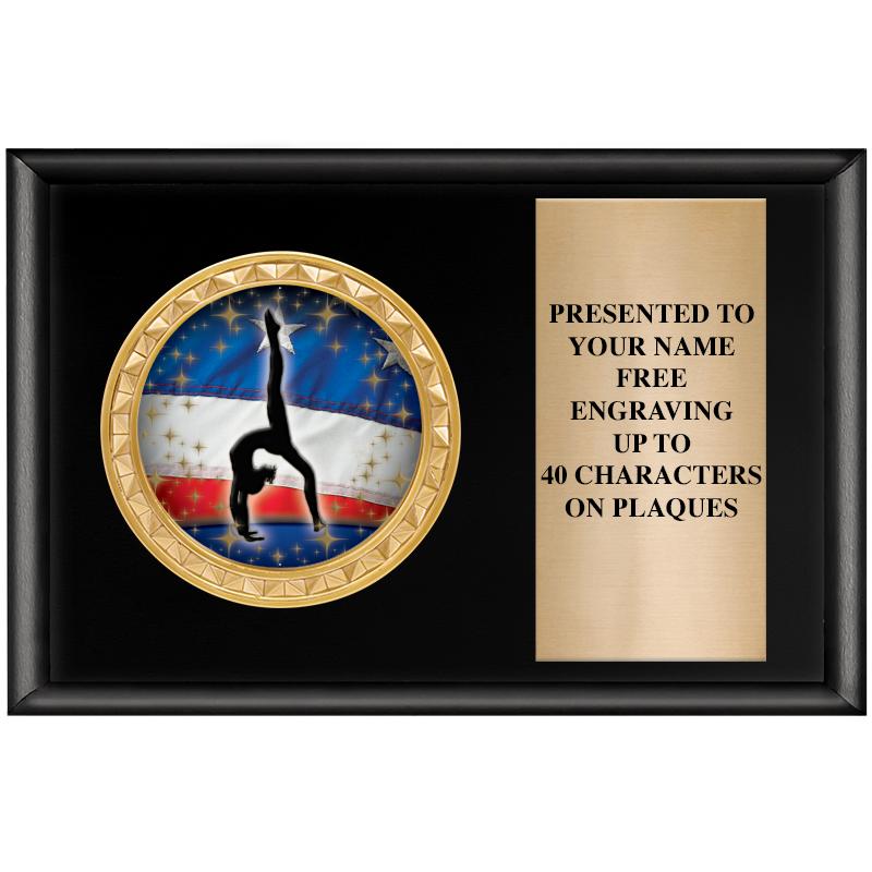 6" X 4" SHINY BLK INSERT PLQ