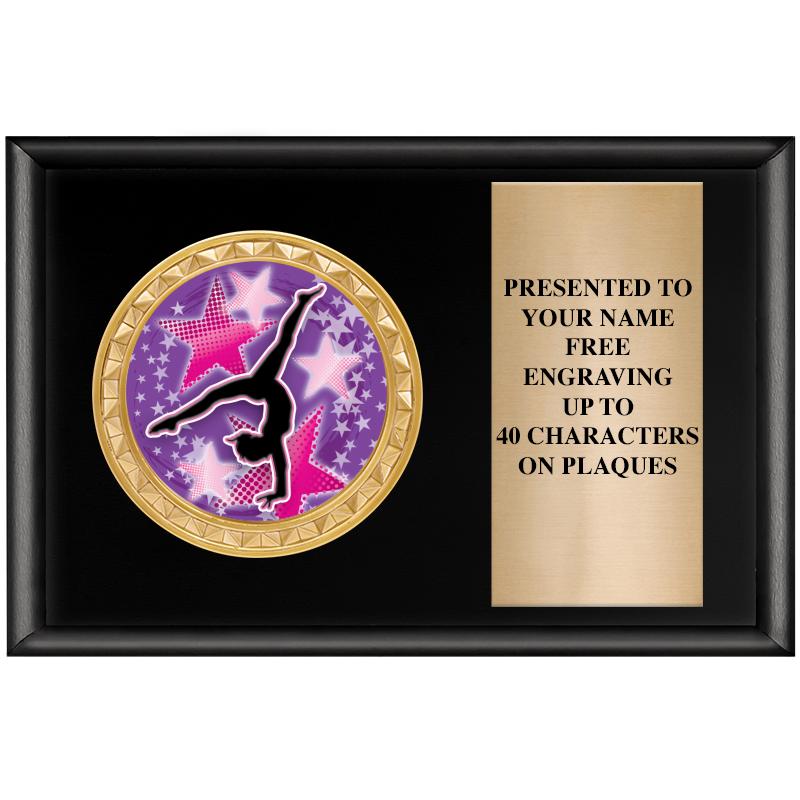 6" X 4" SHINY BLK INSERT PLQ