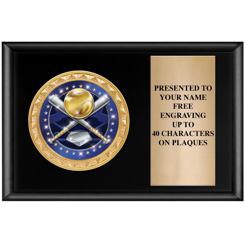 6" X 4" SHINY BLK INSERT PLQ