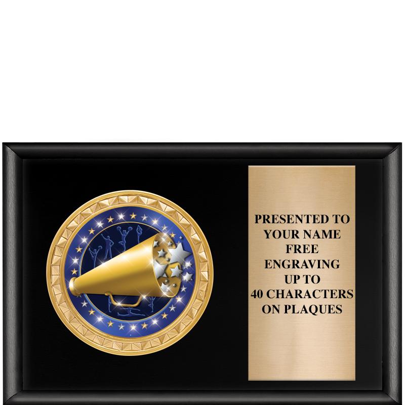 6" X 4" SHINY BLK INSERT PLQ