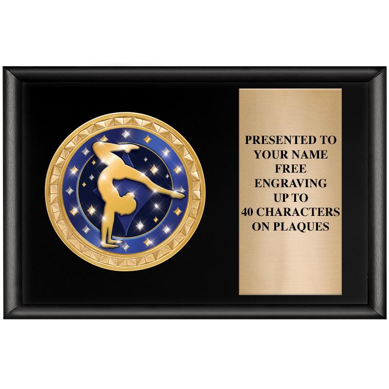 6" X 4" SHINY BLK INSERT PLQ