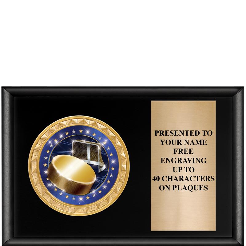 6" X 4" SHINY BLK INSERT PLQ