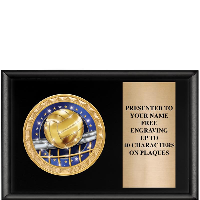 6" X 4" SHINY BLK INSERT PLQ