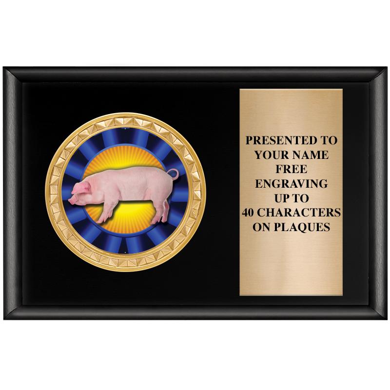 6" X 4" SHINY BLK INSERT PLQ